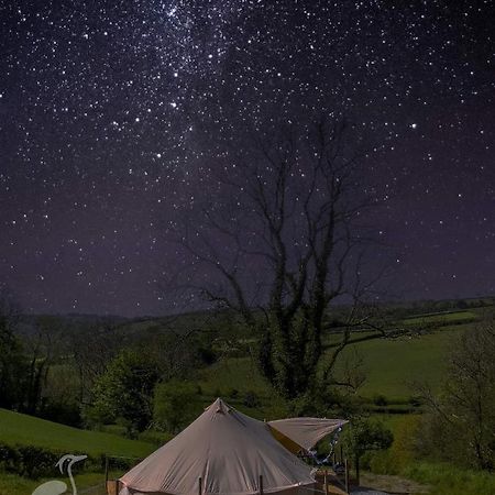 Hotel Herons Retreat Llandysul Esterno foto